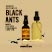 how to get rid of black ants