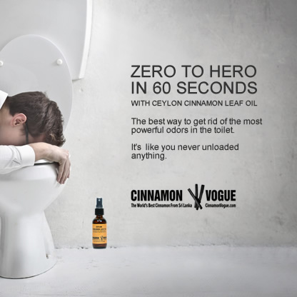 How to eliminate toilet smells