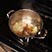 lamb_shank_stew