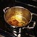 lamb_shank_stew