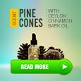 how to scent pine coens with cinnamon
