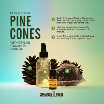 cinnamon pine cones