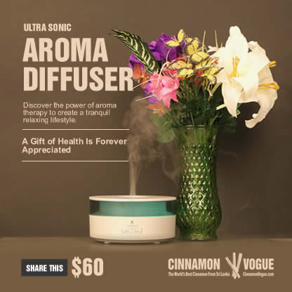 ultra sonic aroma diffuser