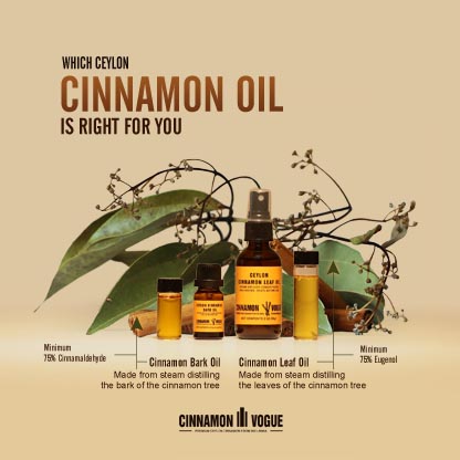 Which Cinnamon Oil Is Right For You